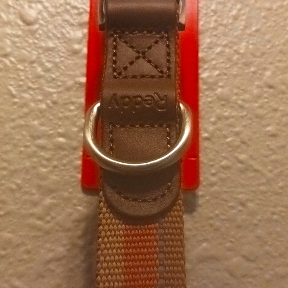 (L/XL) Reddy dog collar - Picture 4 of 4
